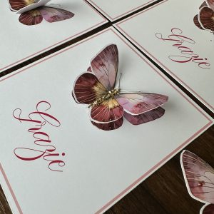 Butterfly et espace réservé au chocolat placé
